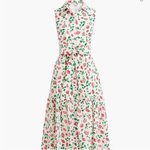 J.Crew Strawberry Shirtdress Size 12 • Collared Midi • Tie-Waist • Cotton Poplin